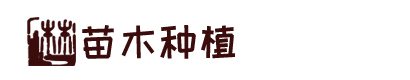 金沙全球赢家信心之选