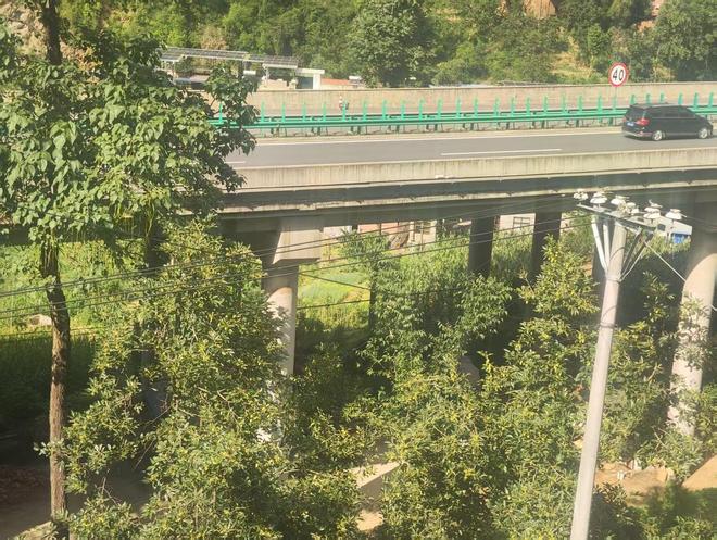 高速公路离家不足30米村民称受噪声困扰十余年；陕西交控：已开始安装隔音板